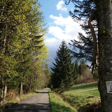 Willa Na Szlaku Stronie Śląskie Exterior foto